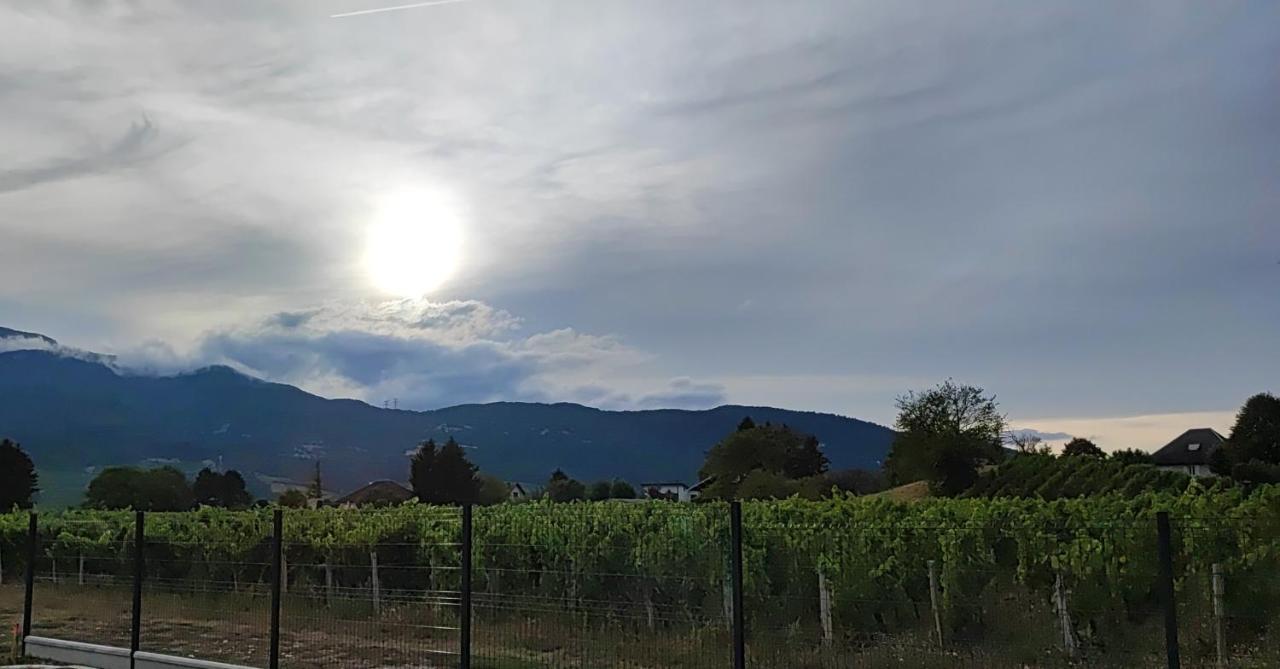 Chambre Au Coeur Des Vignes Myans Exteriör bild